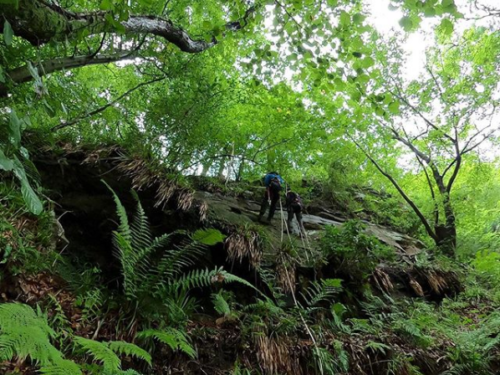 RobsonGreenOnTheGram