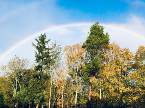 RobsonGreenOnTheGram